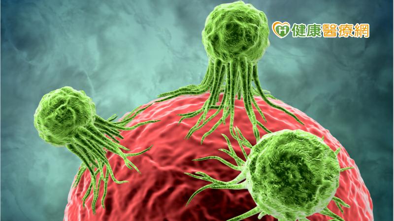 破解癌細胞詭計 國衛院新研究:抑制腫瘤生長、克服抗藥性