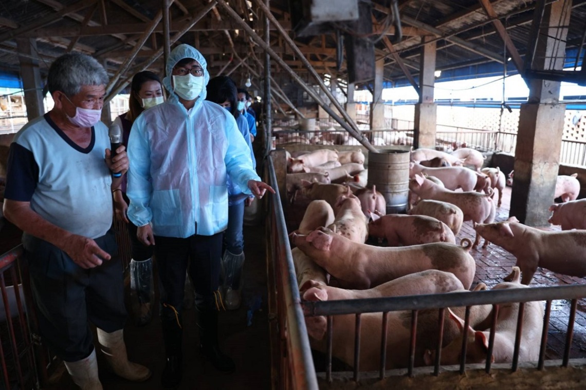守住台灣豬 陳其邁:高市加碼廚餘養豬場轉用飼料補助/波新聞
