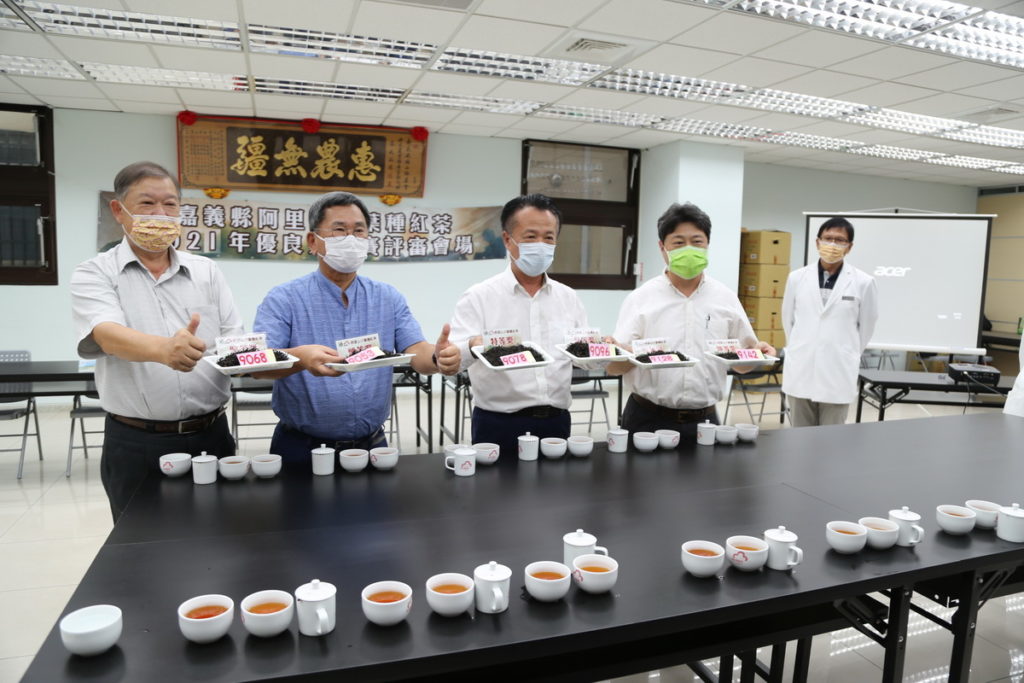 嘉義縣阿里山高山茶110年冬季優良茶競賽成績揭曉