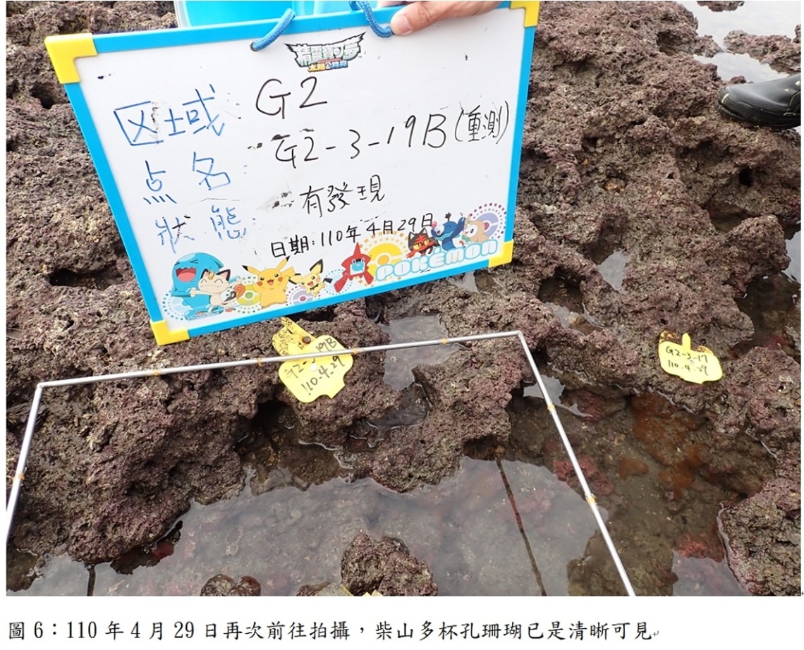 中油澄清:海域「沙來、沙往」本屬自然現象 第三接收站工程施工前就存在
