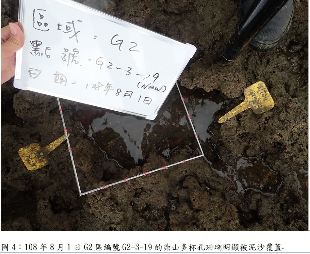可能是文字的圖像