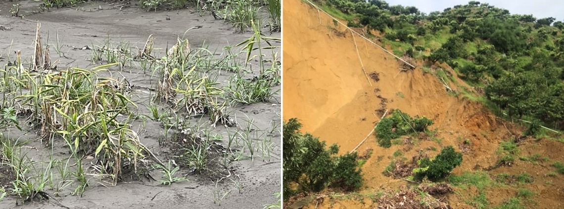 8月上旬豪雨農田流失埋沒受災 即日至9/22受理申請