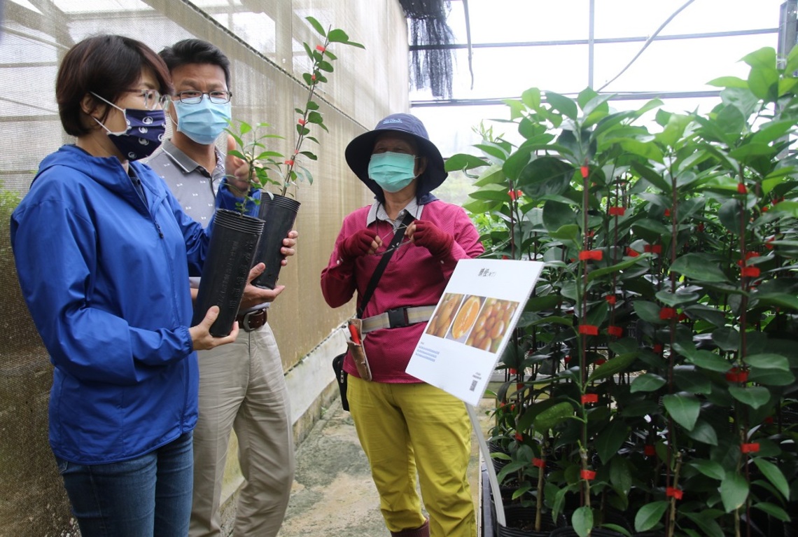 饒慶鈴視察東台灣唯一柑橘種苗場 呼籲做好防颱工作