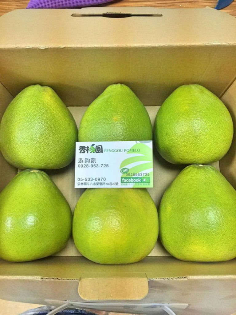 秀禎園斗六文旦