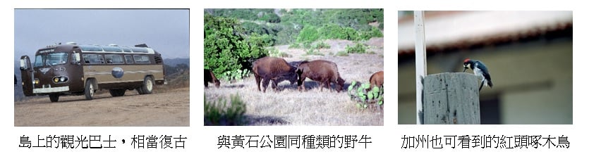 可能是戶外和文字的圖像