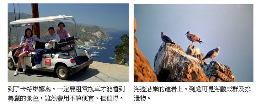 可能是 3 個人、戶外和文字的圖像
