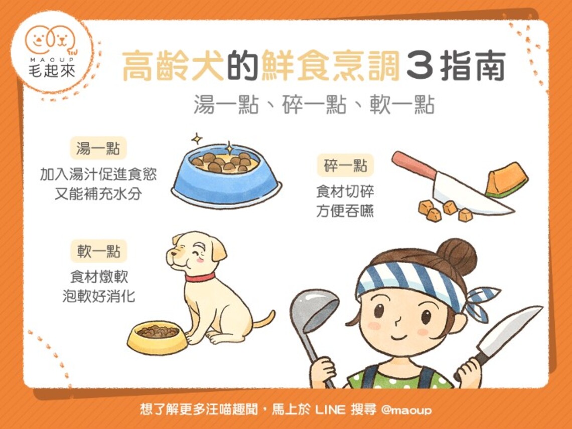 世界國際失智日 寵物老化你準備好了嗎?