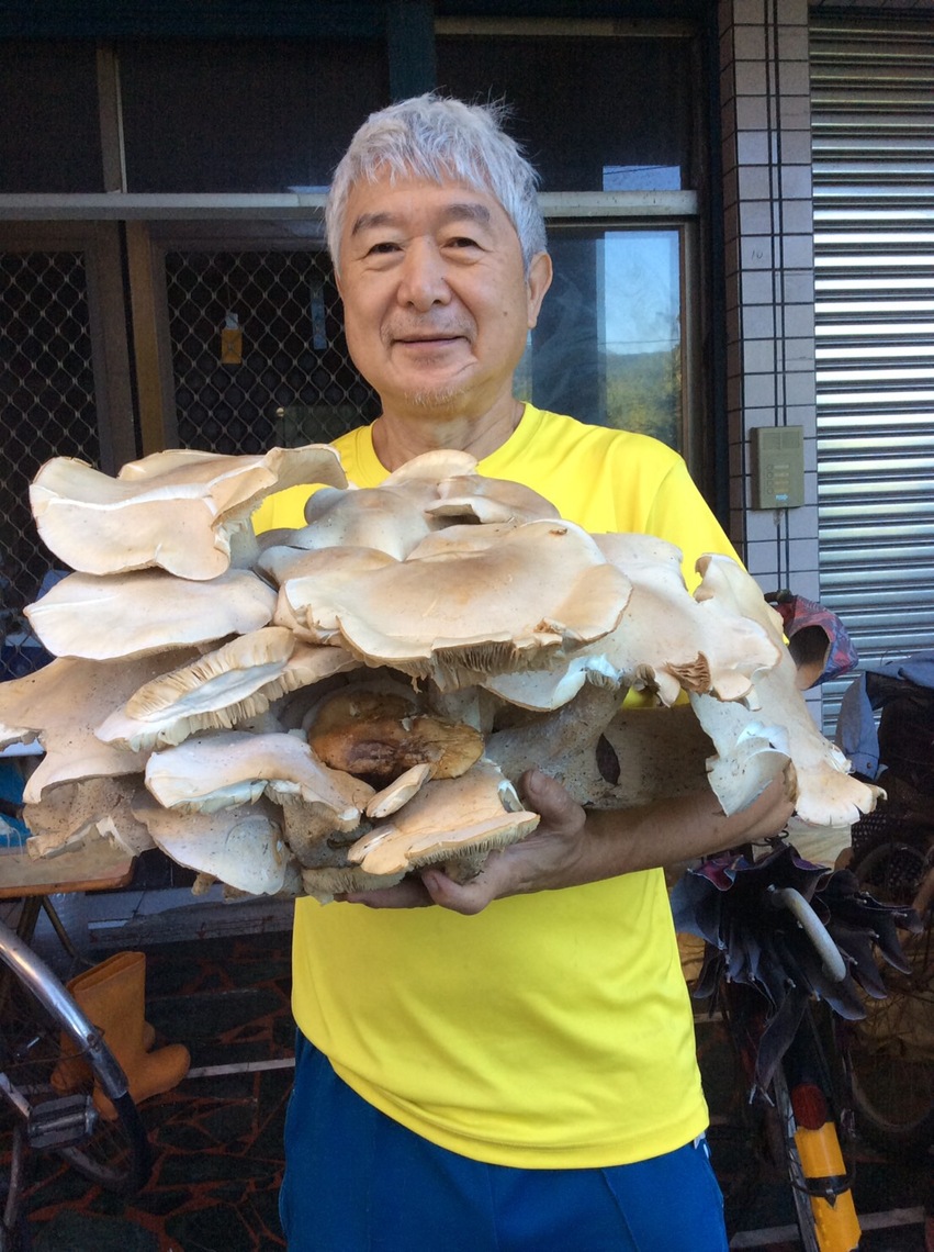 聽說雷公菇嗎?鄭水圳秀給大家看七台斤的山產/波新聞