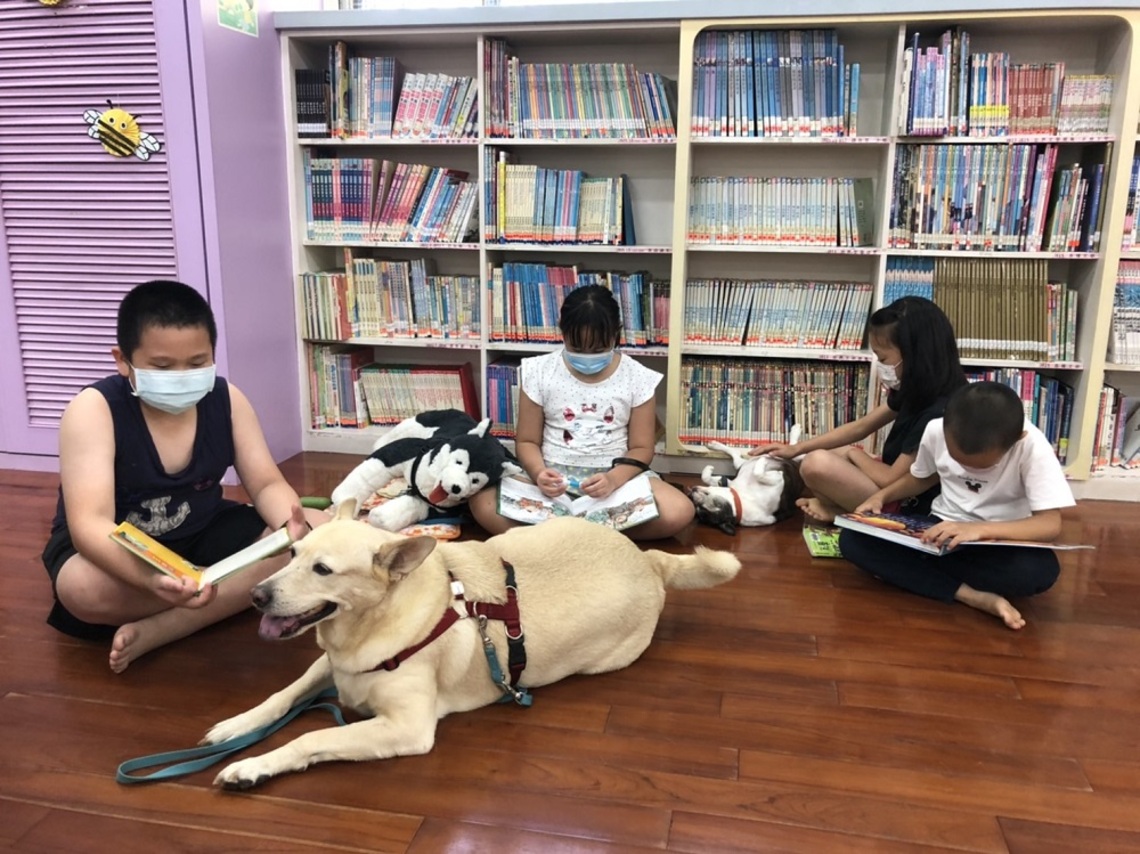 浪浪書僮進駐圖書館 伴讀療癒讀者身心靈/波新聞