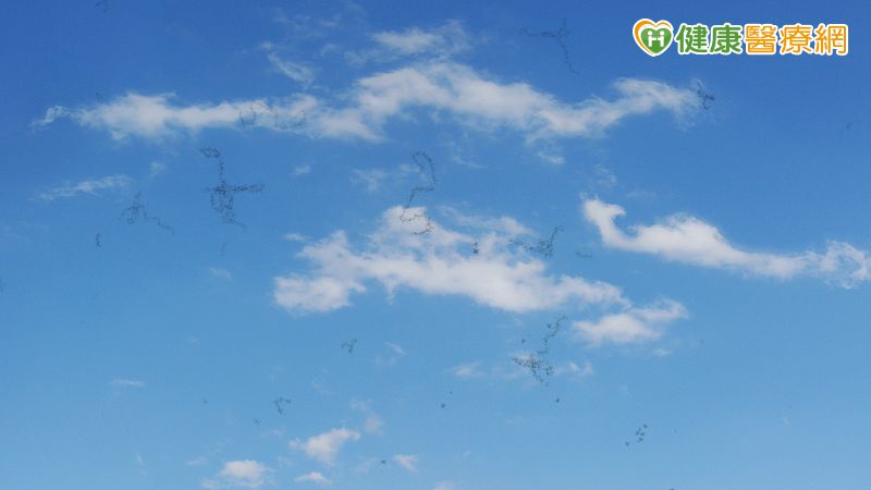 眼前出現長條型懸浮物當心是退化性飛蚊症! 醫師告訴你如何治療