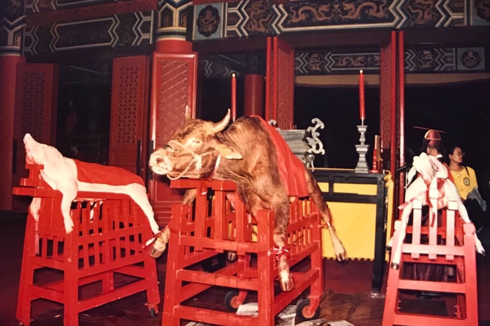 可能是 1 人和動物的圖像