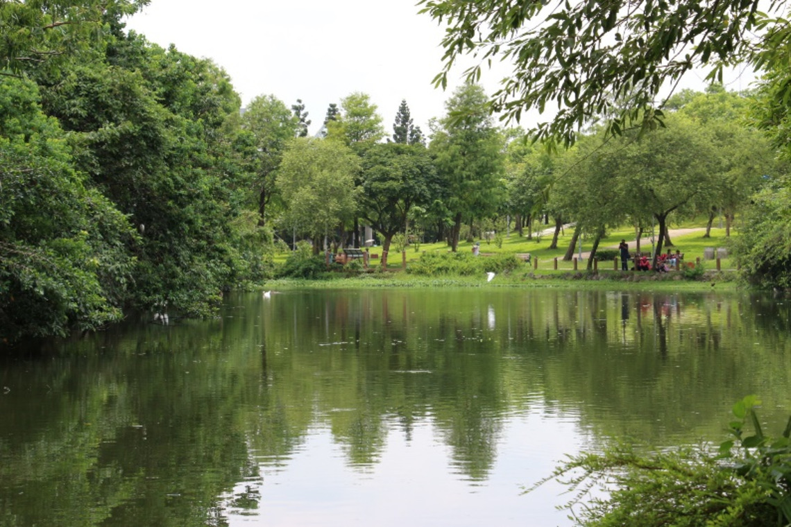 公園生態化首階段達標 今年續推動分區管理 降低人為干擾實現永續經營