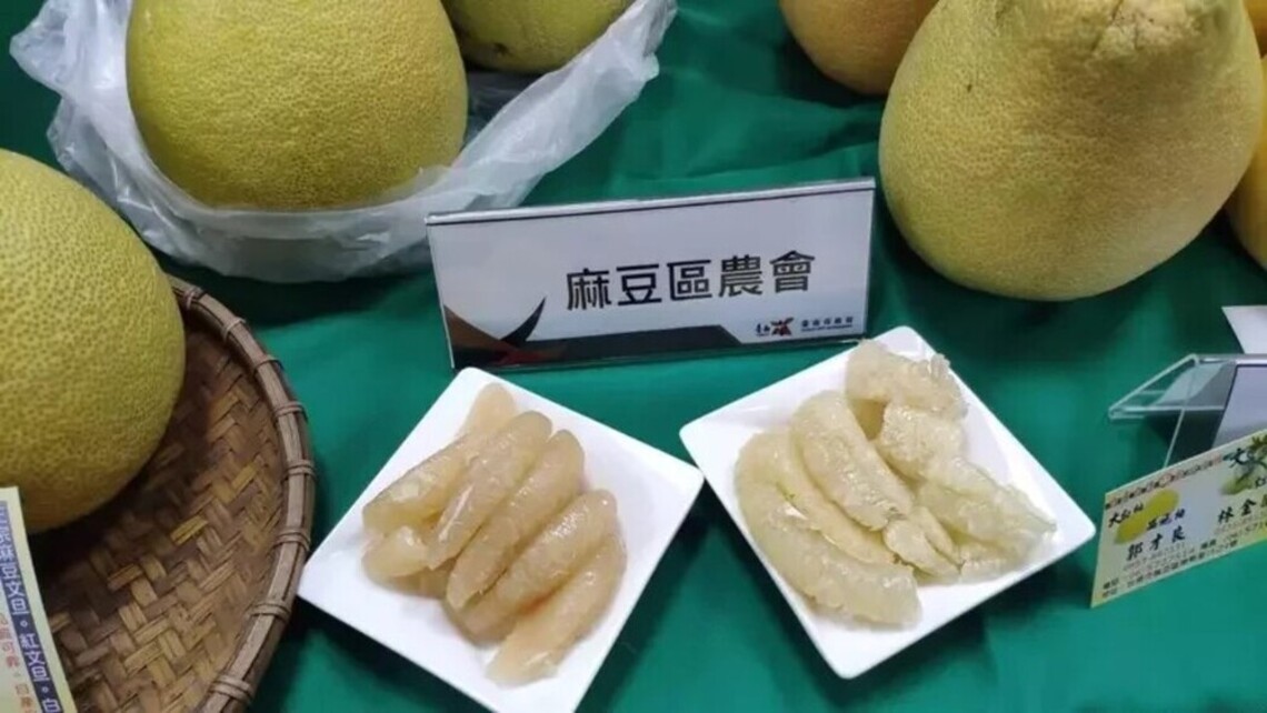 台南白柚紅柚盛產產地直送