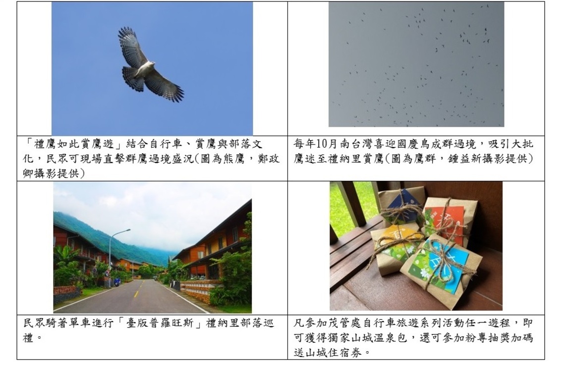 雙十連假「禮鷹如此」 禮納里單車賞鷹夯