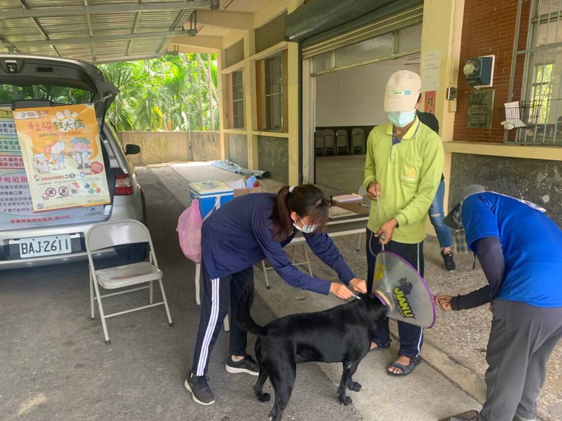 屏東狂犬病疫苗 佳冬、崁頂鄉開打/波新聞