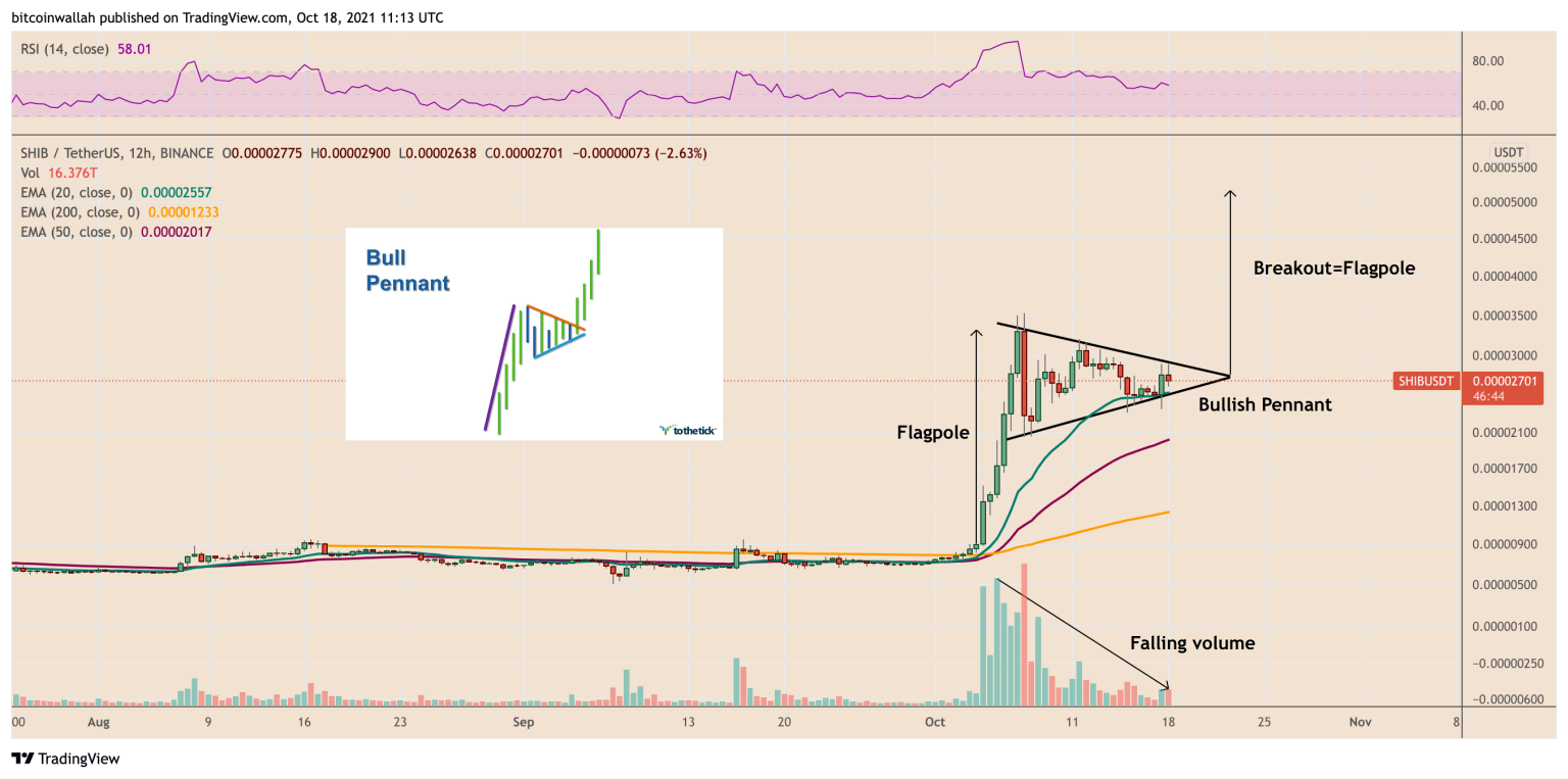 柴犬幣「多頭動能」有多強勁？分析：維持走勢還會再漲90%