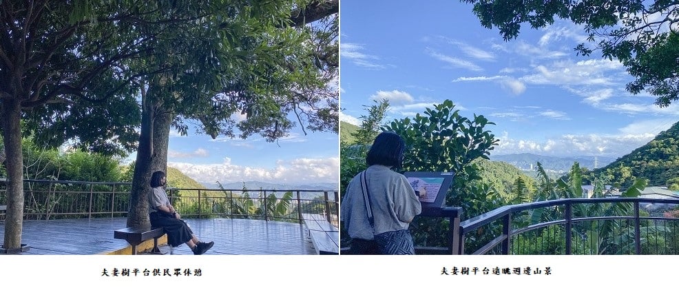 可能是樹、戶外和文字的圖像