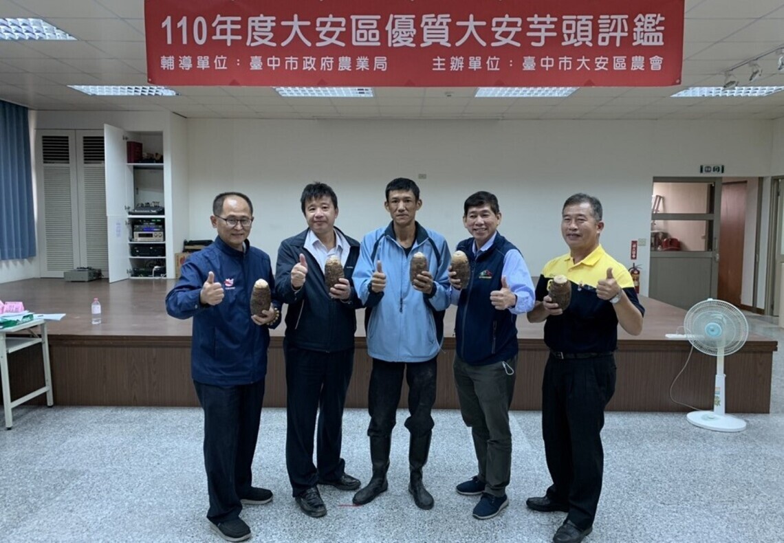 中市大安芋頭評鑑出爐! 農友鐘天雨奪冠