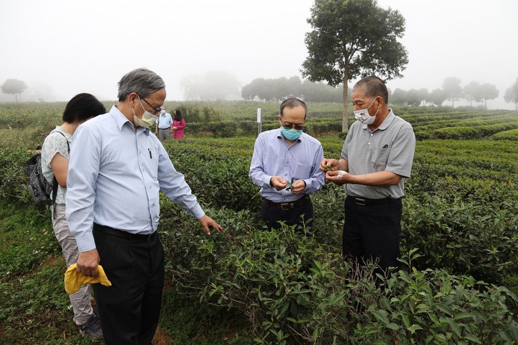 興大黃振文副校長(右2)與台茂董事長林冬霧(左2)提供三義靜思茶園農業資材與技術輔導。(圖/中興大學提供)