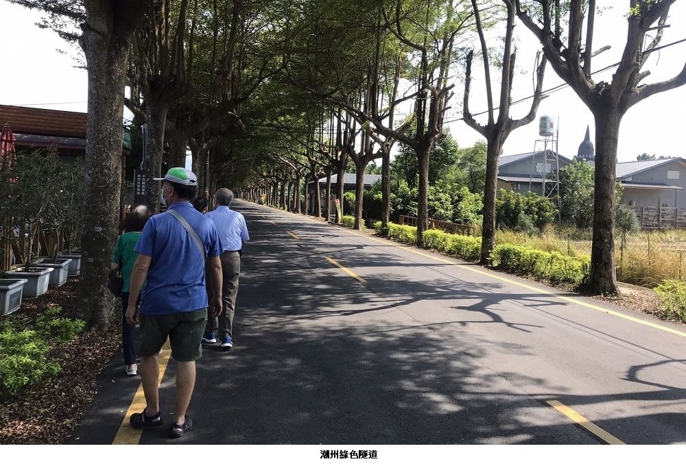 可能是一或多人、大家站著、道路、樹和街道的圖像