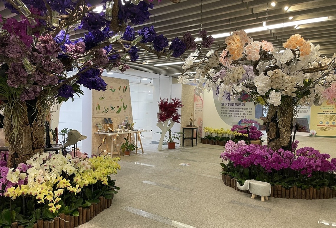 世界蘭展延伸推廣特展     國資圖華麗綻放