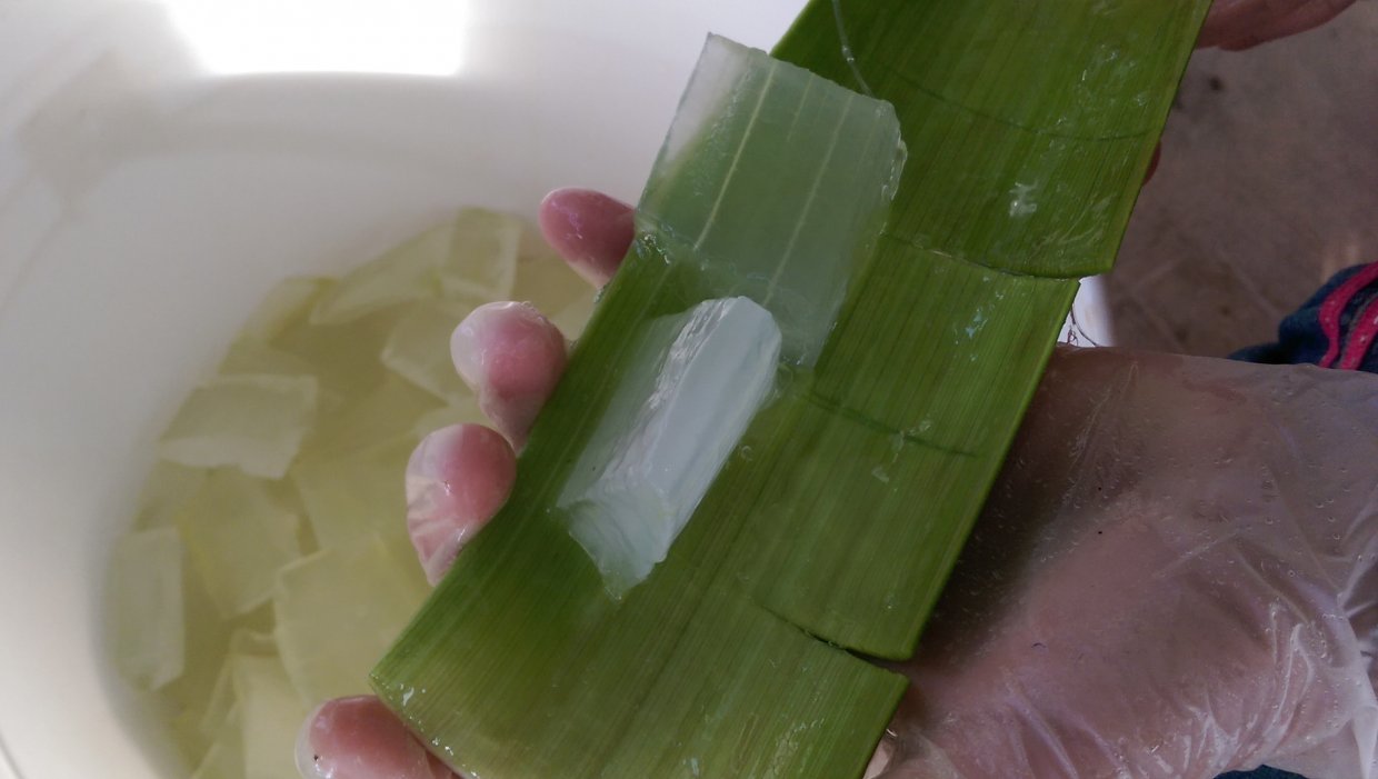 有機蘆薈果肉的用途很廣,除了外敷,清爽啖味的特色也很適合加工做成各種食品!