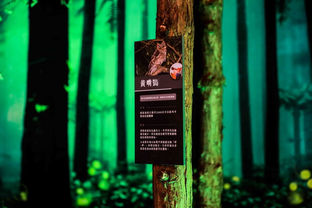 夜觀覓境主題，展現台灣多種特殊動、植物生態