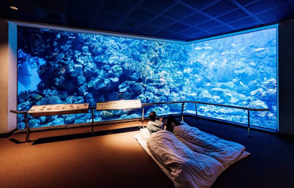夜宿海生館體驗活動_台灣水域館