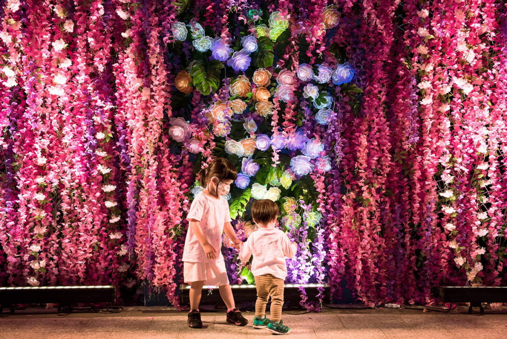 心形花牆