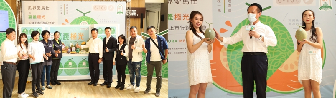 獨一無二的瓜中極品「嘉義極光-歐若拉」哈密瓜鮮採上市 認明標章溯源有保障!