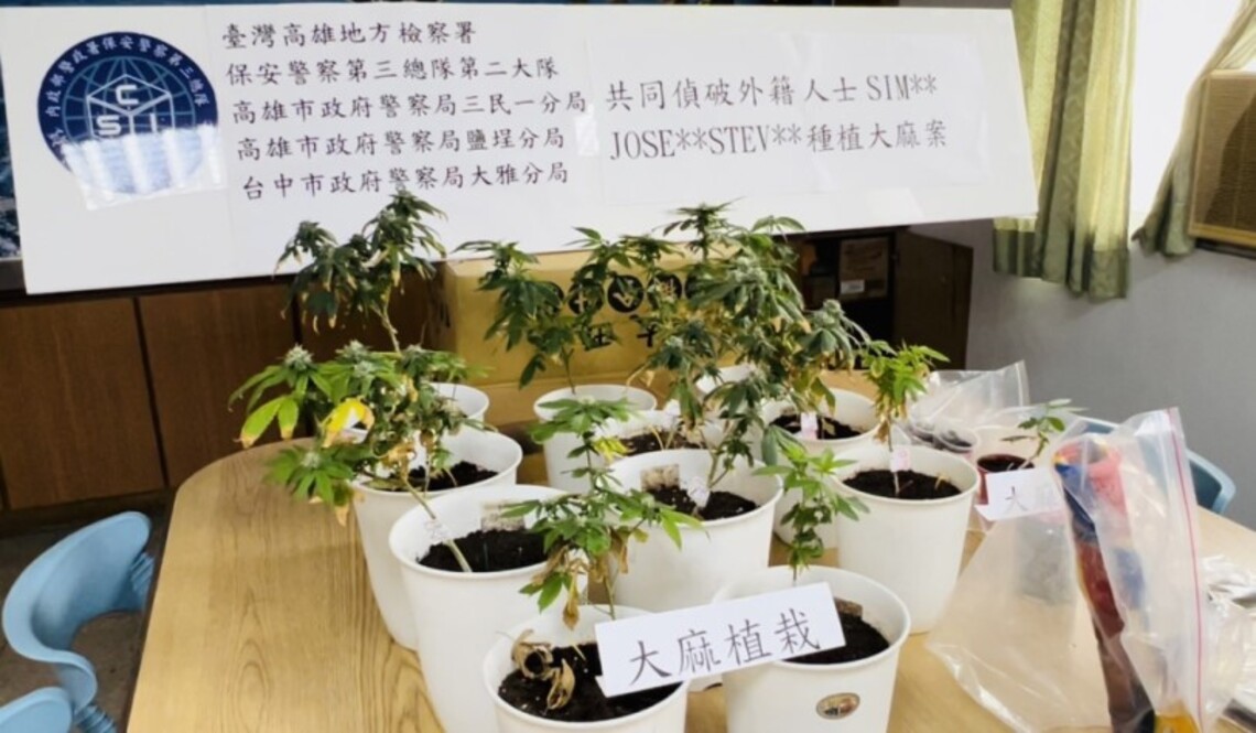 外籍師課餘種大麻     警方循線破獲栽種場