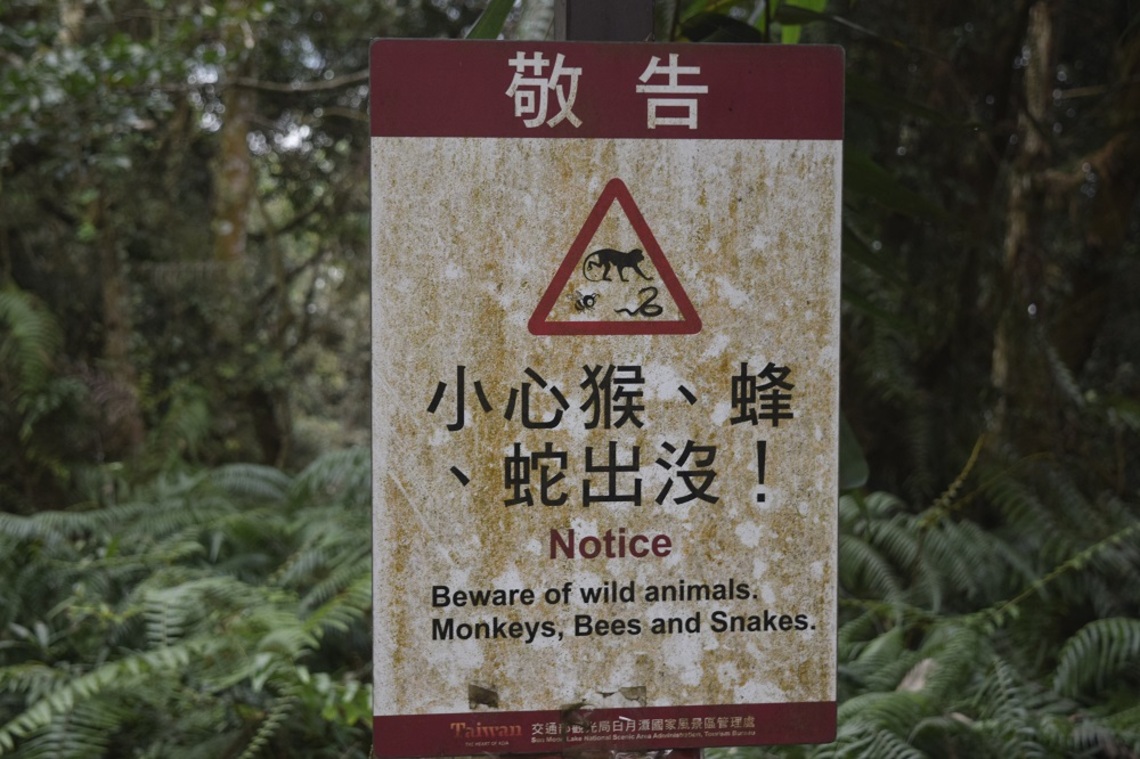 日月潭阿里山動物植物都在「出沒」中?