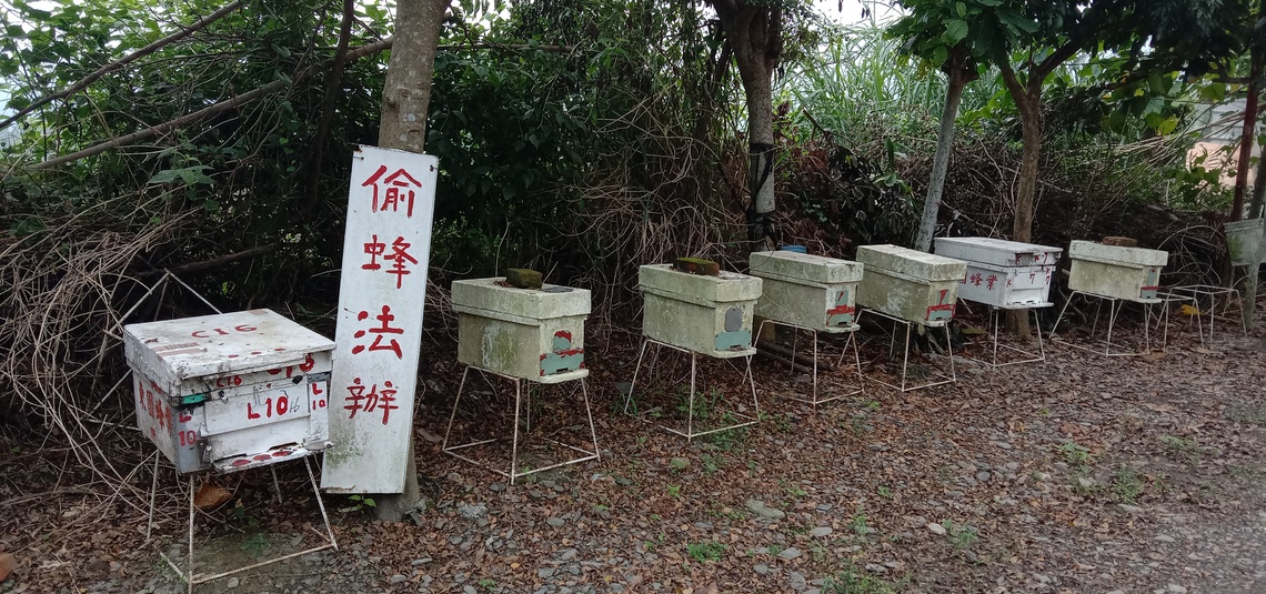 林下經濟養蜂現況 /波新聞