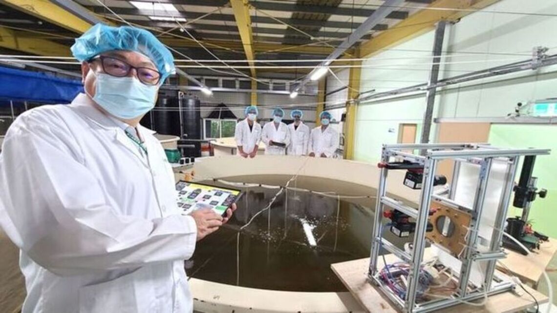 成大研發養魚自動化育苗率增10倍