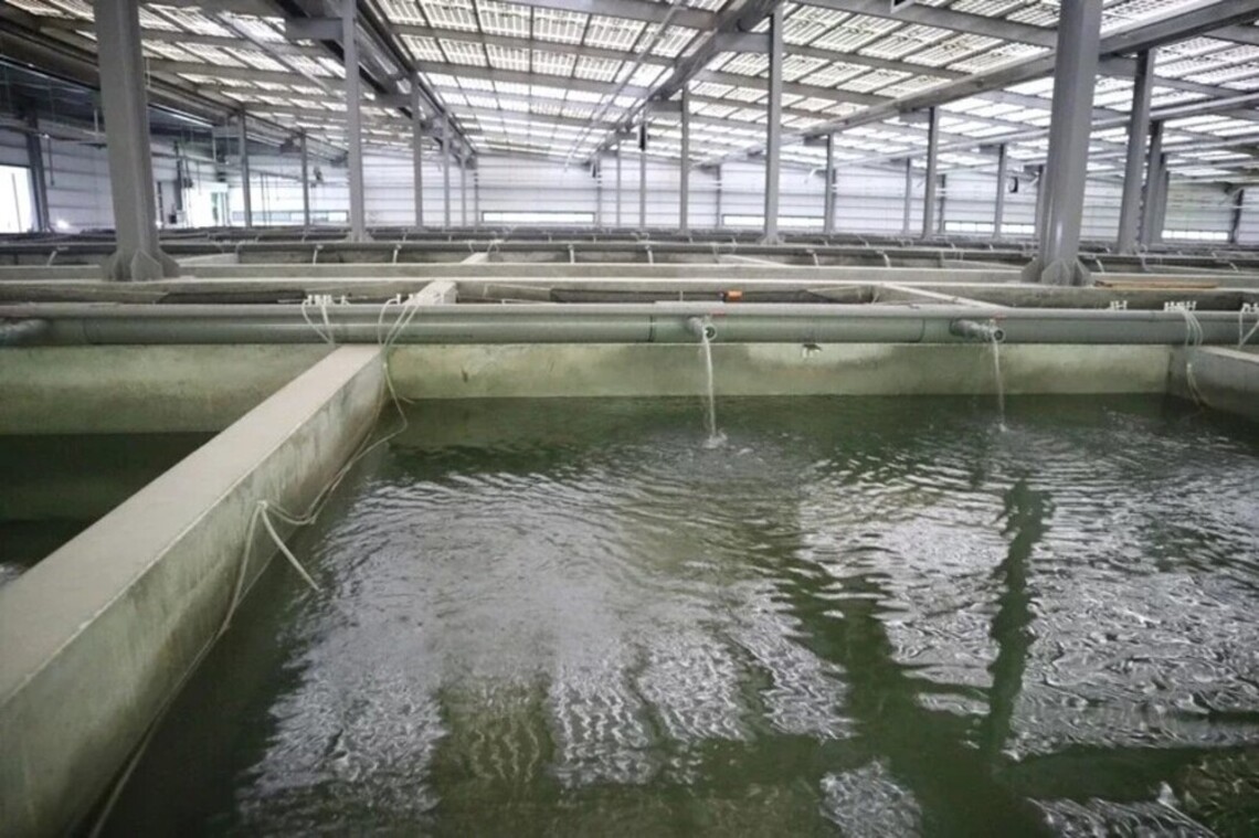 台南魚塭光電19場