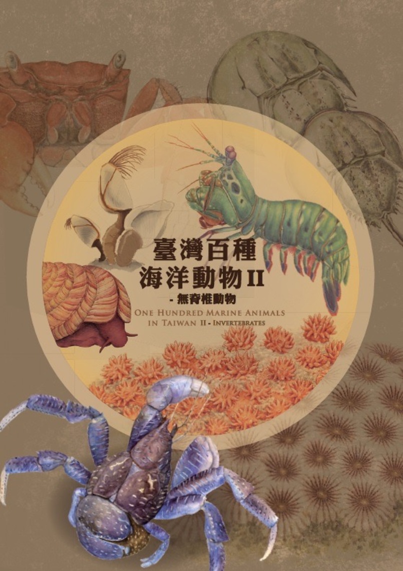 「臺灣百種海洋動物II」   帶您認識海洋無脊椎動物！