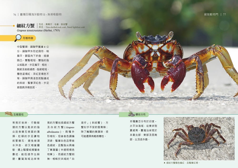 可能是甲殼類動物和文字的圖像