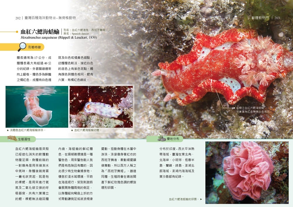可能是文字的圖像