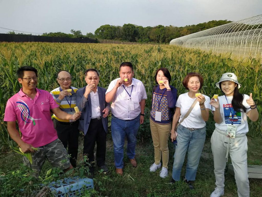 台北市議會教育委員會一行參訪雲林有機玉米栽種