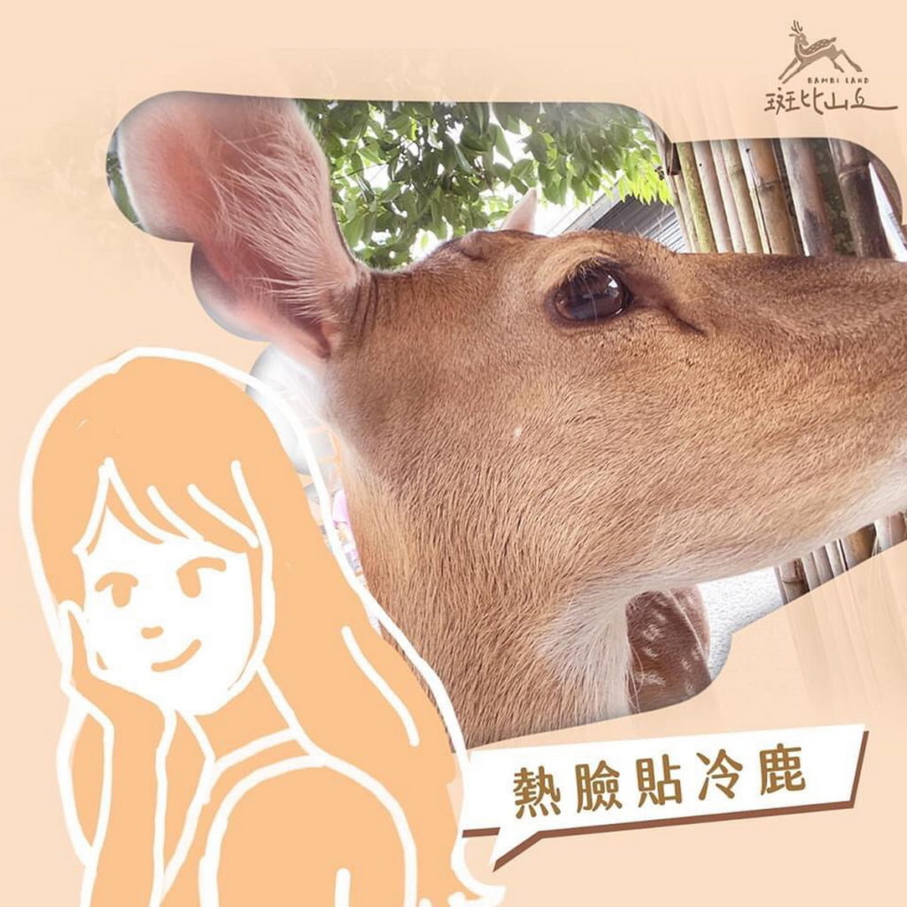 小鹿傲嬌起來可是非常任性,當牠撇過頭去,只好和牠背對背擁抱。