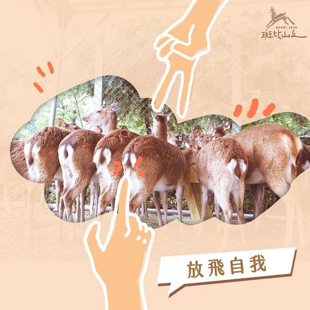 「放下」是人生的必修課,當小鹿轉身離去,要學會笑著說再見。