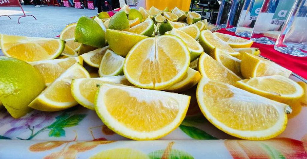 甜酸多汁富含多種維生素的柳丁