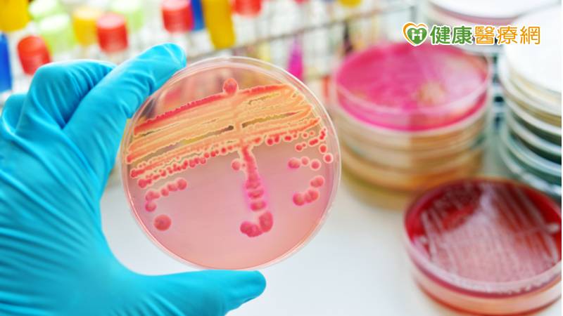 敗血症致死率高達3成! 「智抗菌」助預測感染並快檢菌種