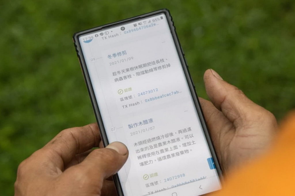 近年愈來愈多生產者投身數位轉型,選擇透過區塊鏈溯源履歷建立品牌差異化(圖為興瑞農場)