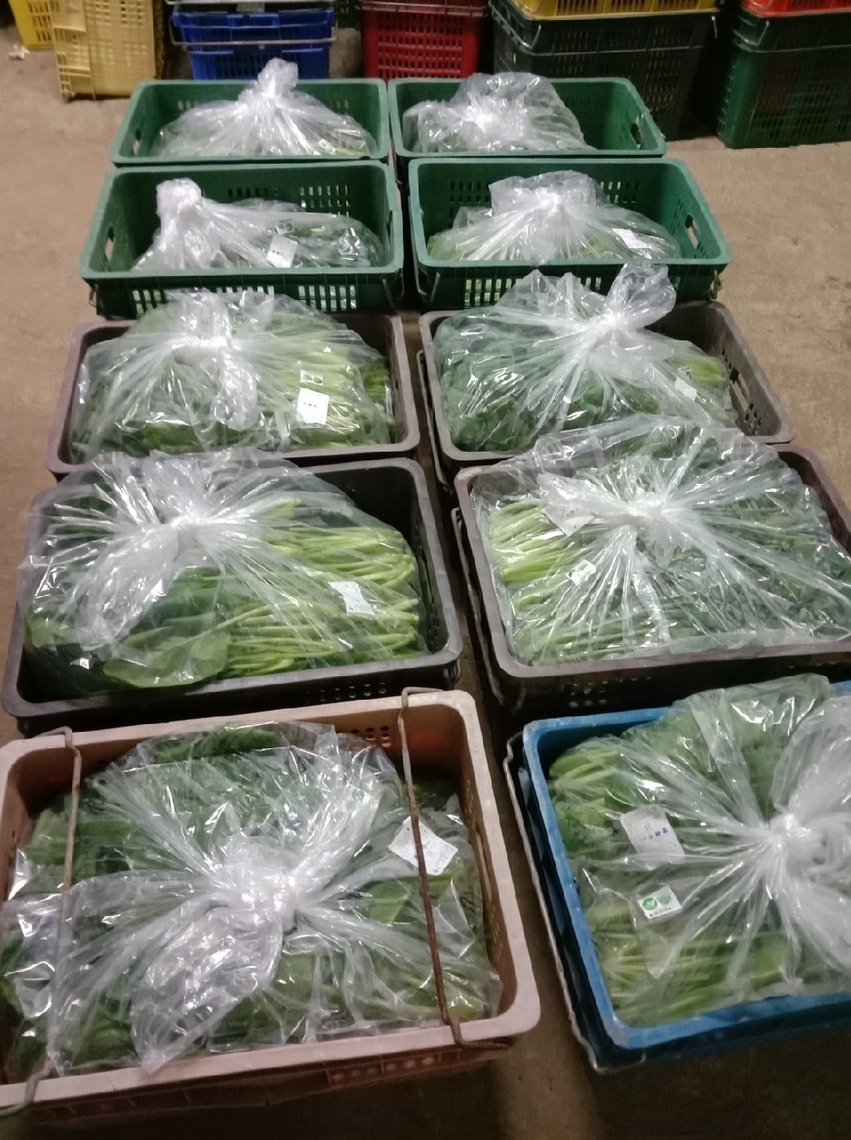 保二警方查獲不法業者將有機標章剪黏貼 重新分裝再銷售予地區農會及學校涉嫌違反商標法