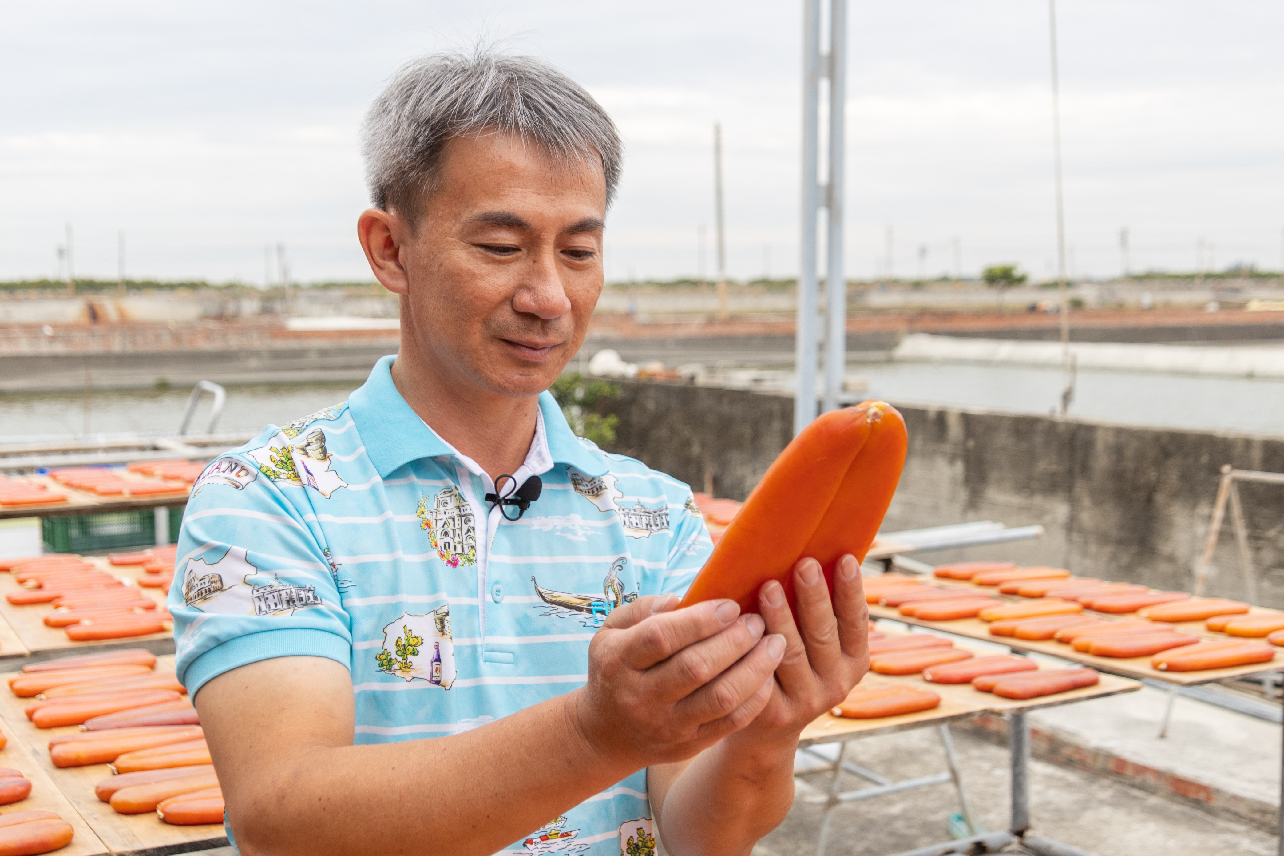 區塊鏈紀錄的烏魚子|豐盛年樺透明化製作流程,安心看得見