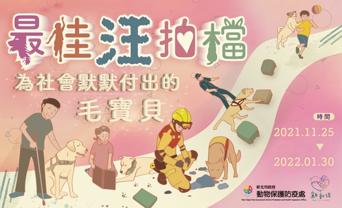 最佳汪拍檔 為社會默默付出的毛寶貝
