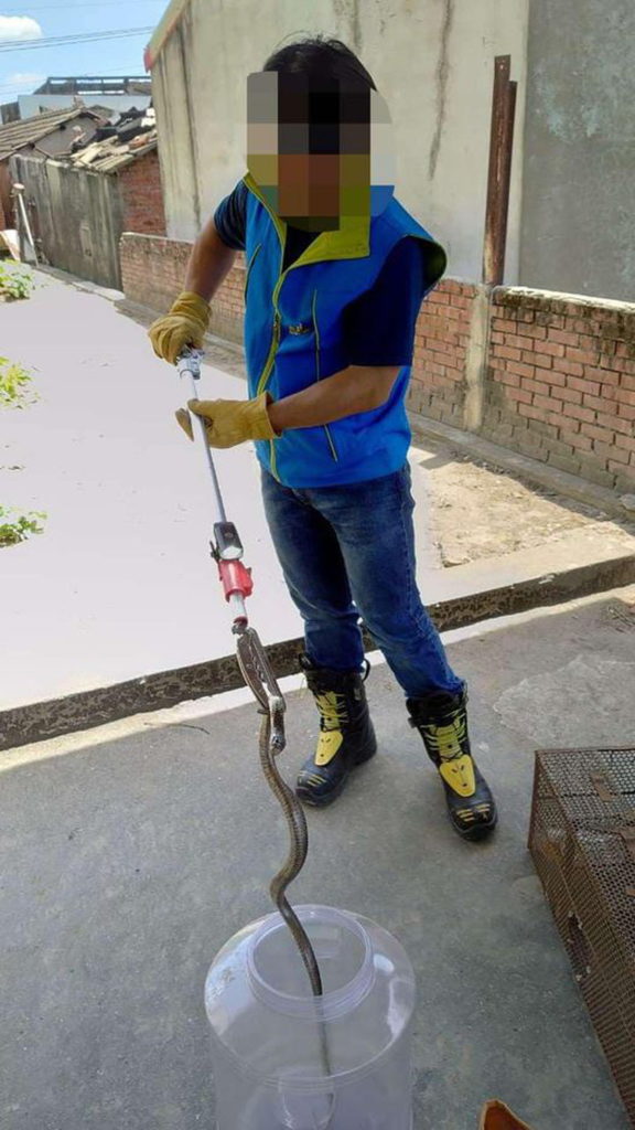 專業捕蛇