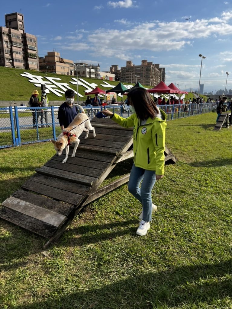 新北市議員李倩萍暨新北市寵物商業同業公會、鐶球訓犬學校今日(4)於蘆洲蘆堤寵物公園,共同舉辦「萌寵毛寶貝 運動嘉年華」活動