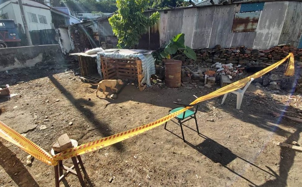 比特犬咬死童/民眾湧進潘孟安臉書留言 呼籲「刀下留犬」 66 120501